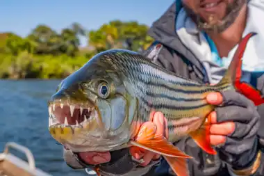 Fishing Charter - Chobe River