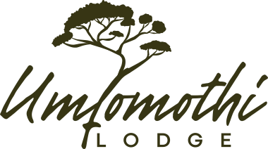 Unfomothi Lodge - Hluhluwe