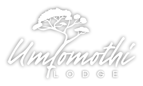 Unfomothi Lodge - Hluhluwe