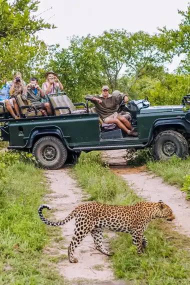 Kruger National Park - South Africa