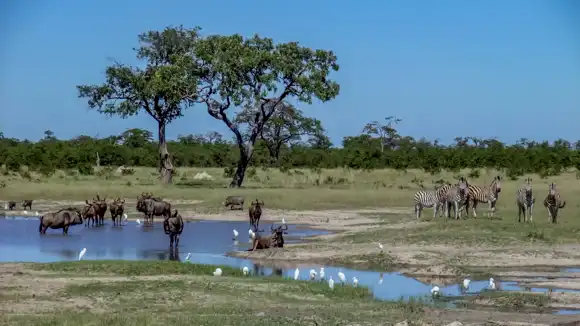 Chobe National Park - Botswana