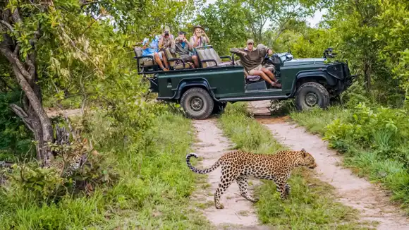 Kruger National Park - South Africa